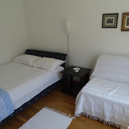 Marijana - Center Lägenhet Novi Sad Exteriör bild
