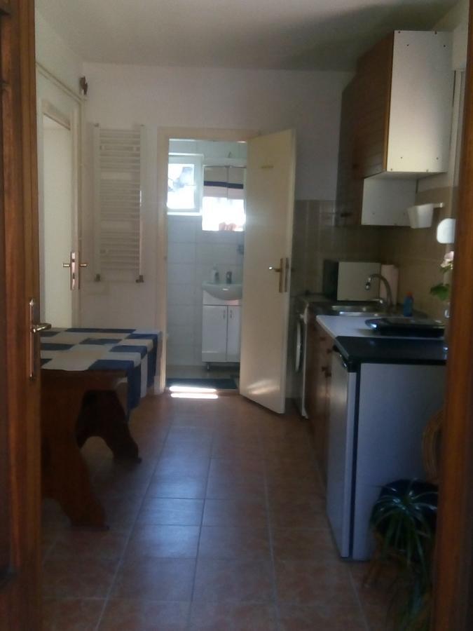 Marijana - Center Lägenhet Novi Sad Exteriör bild