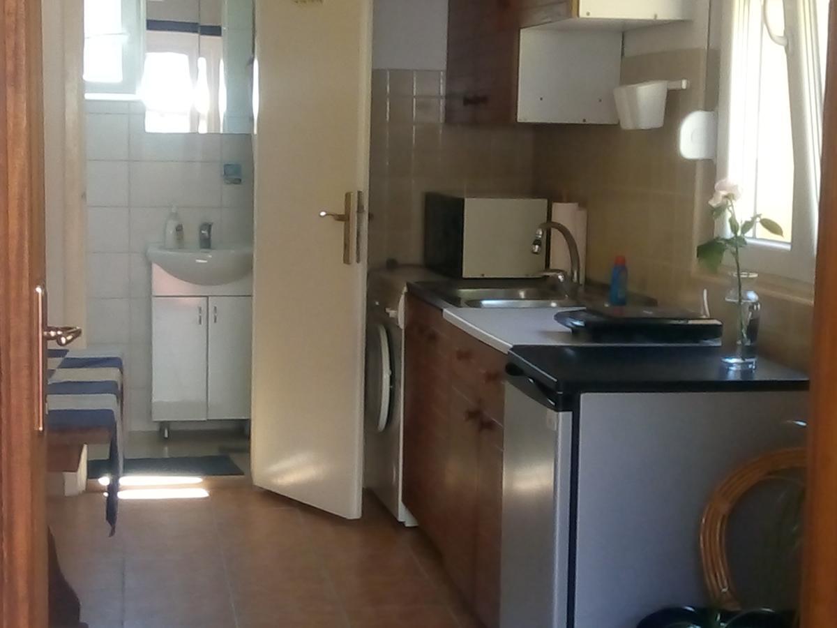 Marijana - Center Lägenhet Novi Sad Exteriör bild