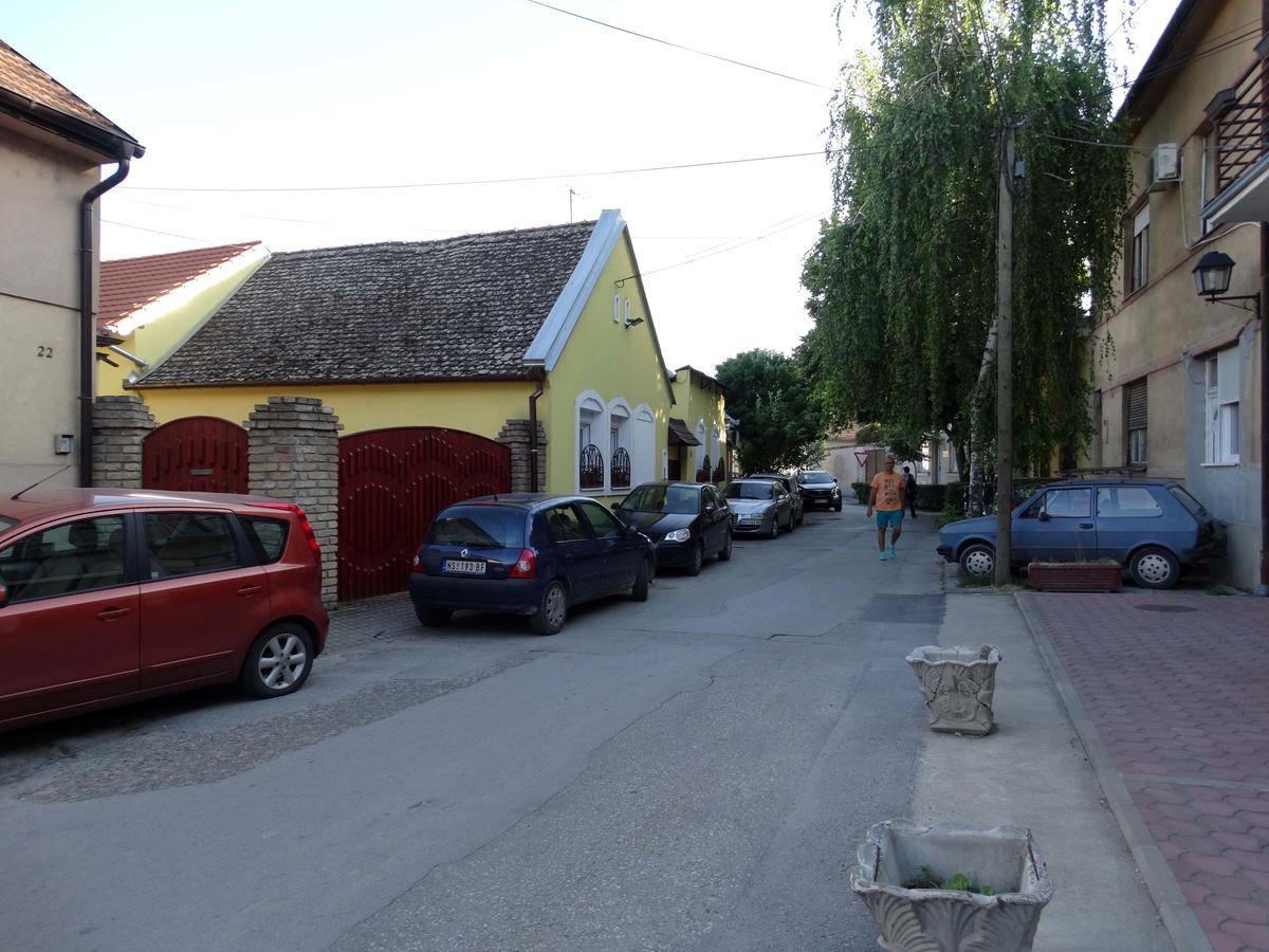 Marijana - Center Lägenhet Novi Sad Exteriör bild